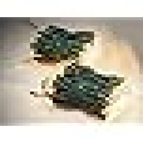 hristmas Lights Warm White,Connectable Incandescent Lighting String Green Wire {6}