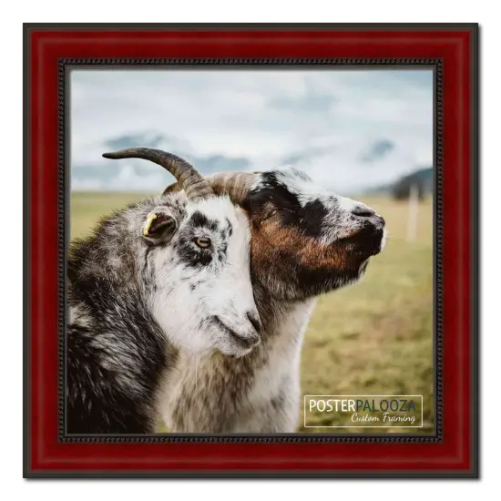 Weathered Red Picture Frame - UV Acrylic, Foam Board Backing, Hanging Hardware {4}