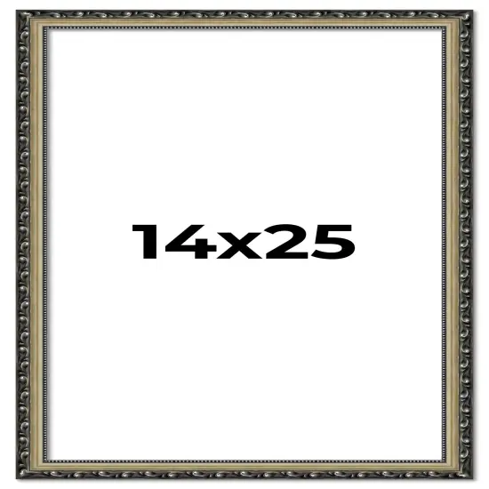14x25 Museum-Quality Picture Frame with UV-Resistant Acrylic & Acid-Free Backing, Available in 4 Finishes - Gold, Silver, Bronze, and Black {1}