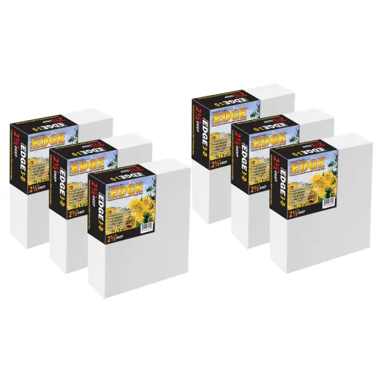 The Edge All Media Professional Triple-Primed Cotton Canvas 2.5" Deep, 6 Pack of Pre-Stretched Canvases for Painting with Paintable Edges {2}