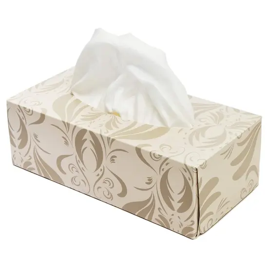Facial Cotton Tissues, Art Deco Disposable Face Towels (3 Pack, 240 Tissues Total) White {6}