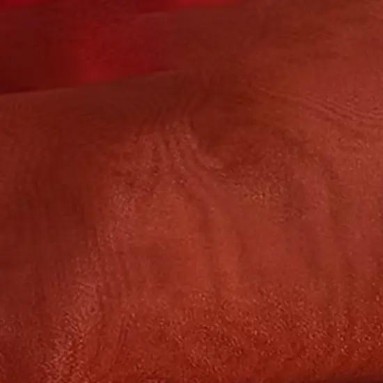 1 Yard Rust Crystal Organza Fabric Sheer Shiny Lightweight Polyester 58/59 inches wide {5}