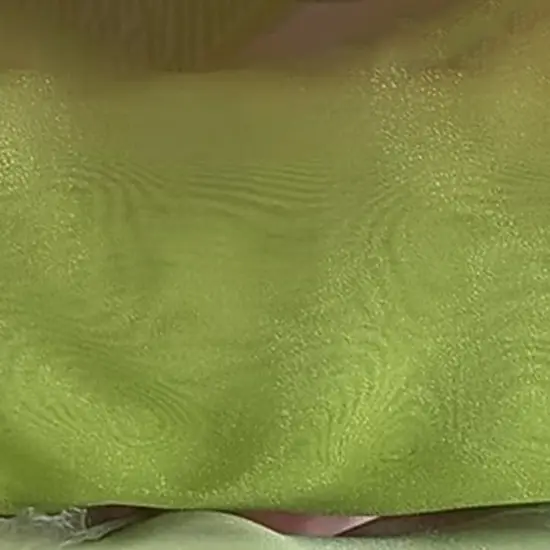 1 Yard Lime Green Crystal Organza Fabric Sheer Shiny Lightweight Polyester 58/59 inches wide {4}