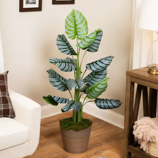 Northlight Potted Two Tone Green Calathea Artificial Floor Plant - 4' {1}