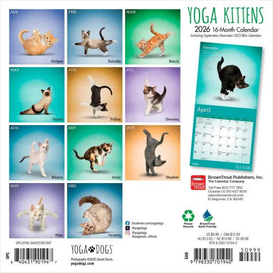 Yoga Kittens OFFICIAL | 2026 7 x 14 Inch (Hanging) Monthly Mini Wall Calendar | BrownTrout | Animals Humor Cats Feline {2}