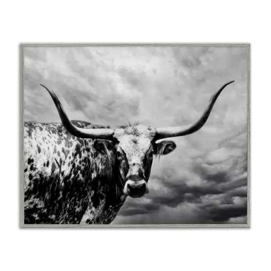 Stupell Industries Spotted Longhorn over Clouds Framed Giclee By PHBurchett {1}