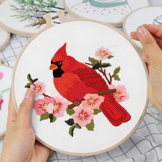 Louise Maelys Cardinal Embroidery Kits for Beginners with Bird Flower Pattern,Adults Starter Cross Stitch Kit DIY Needlepoint {6}