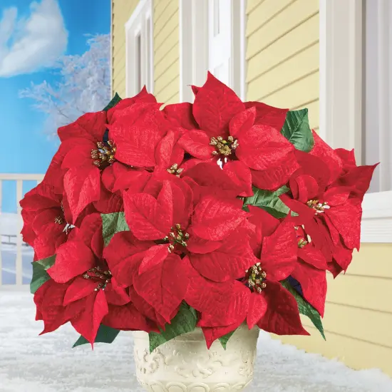 Collections Etc Bright Red Decorative Velvet Poinsettia Bushes - Set of 3 {1}