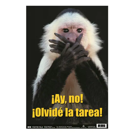 Poster Pals Spanish Educational & Language Teaching Fun Photo Posters,Bilingual Charts, Classroom Decorations, 4 Poster Set {5}