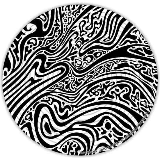 Spin Flip Puzzle: Hypnotic 2L- 14 Rings - 2-In-1: Double-Sided Puzzle, Spin-Flip-Solve, 360 Degress Of Puzzling, Fidget Toy, Adults & Kids 8+ {6}