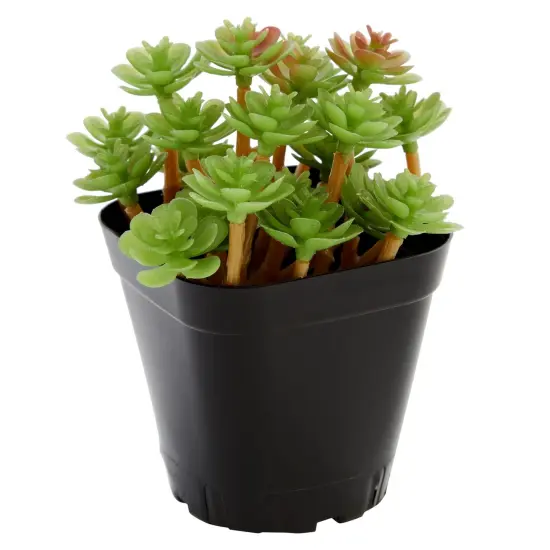 150-Pack 2 Inch Plastic Seedling Pots for Plants, Small Square Starter Nursery Planters for Starting Seeds, Flowers, Succulents, Propagating, Indoor Garden (Black) {6}