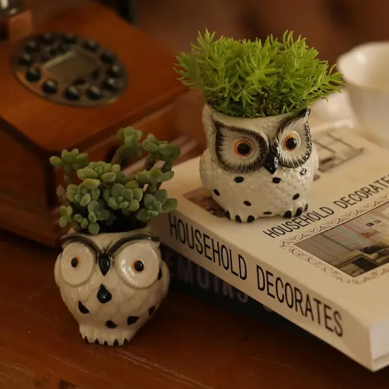 Owl Ceramic Planters With Drainage {4}