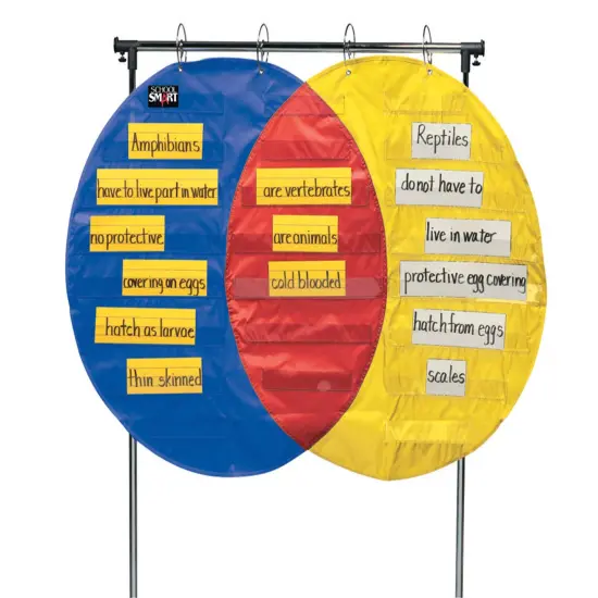 School Smart Venn Diagram Pocket Chart with 3 Circles, 23 Pockets, 35-1/2 x 54 Inches {1}