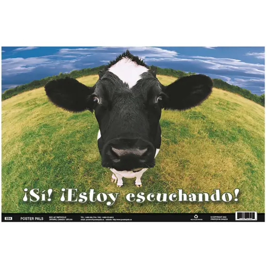 Poster Pals Spanish Educational & Language Teaching Fun Photo Posters,Bilingual Charts, Classroom Decorations, 4 Poster Set {6}