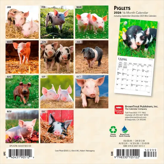 Piglets | 2026 7 x 14 Inch (Hanging) Monthly Mini Wall Calendar {2}
