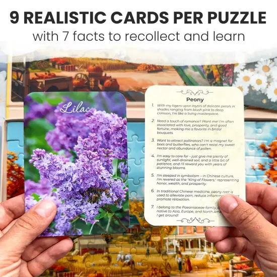 100 Pcs Dementia Puzzles for Elderly | Small Town {3}