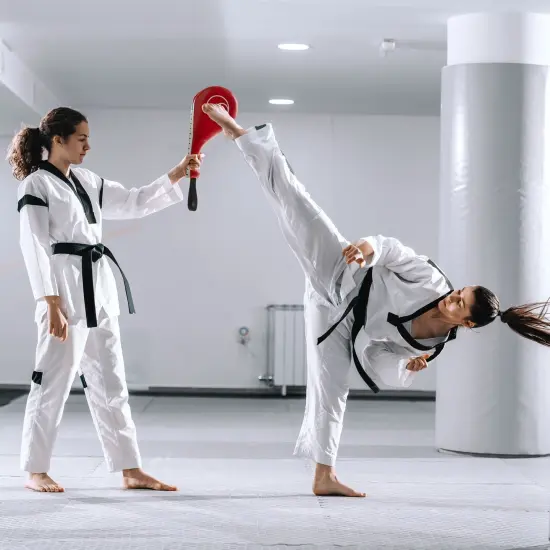 2 Pack Taekwondo Kick Pads, Martial Arts Training Equipment, Kickboxing Striking Target Pads, TKD Sparring Gear (Red, 15 x 2.5 x 7.5 In) {3}