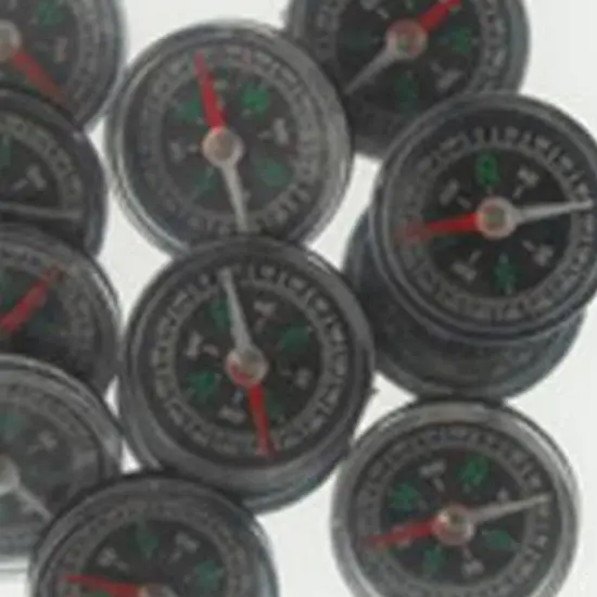 Magnetic Compasses Include 12 Units {3}