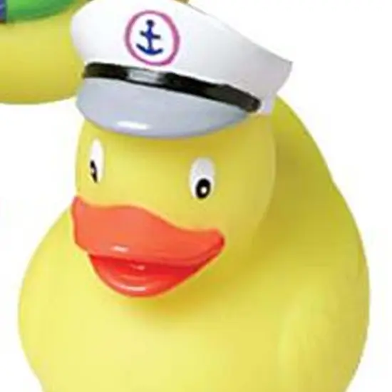 Vinyl Ducks Include 12 Units {3}