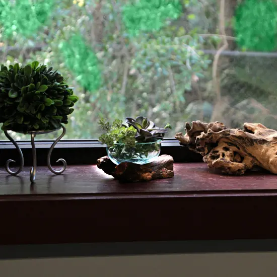 Glass and Teak Driftwood Bowl – 3.25” High Decorative Succulent Centerpiece {5}