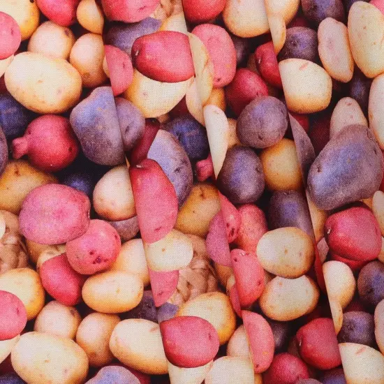 Mook Fabrics Fruit-Vegetables Cotton Fabric [45 in. Wide] - By The Yard Potatoes {2}