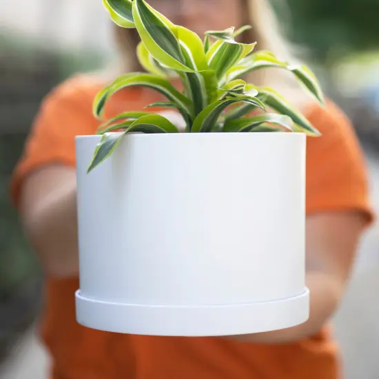 Bloem Mathers Round Planter With Saucer Tray: 8" - White - Modern Design, Durable Plastic Pot, Removable Saucer, For Indoor & Outdoor Use, Gardening, 1.4 Gallon Capacity {6}