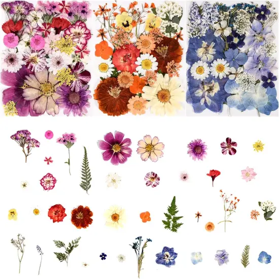 110+PCS Pressed Flowers for Resin - Colorful C {4}