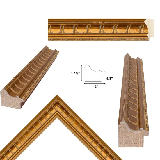 Gladiator Gold Ribbed Picture Frame 14x17 frame {3}