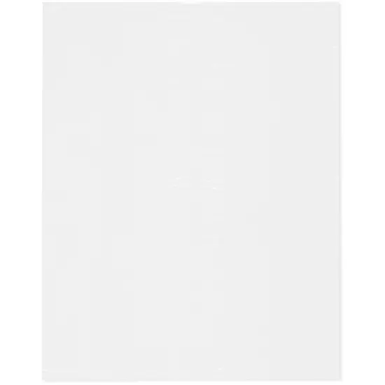 Plymor 12" x 15", White 2 Mil Flat Open Plastic Poly Bags {1}