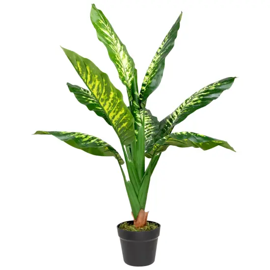 Northlight Artificial Variegated Dieffenbachia Leaf Potted Plant - 36" Green {3}