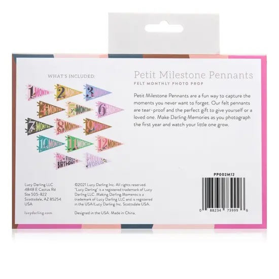 LITTLE ARTIST PETIT MILESTONE PENNANTS {2}