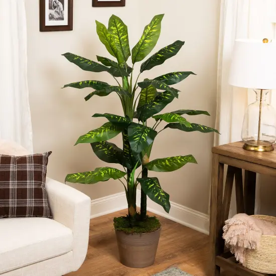 Northlight Wide Leaf Artificial Dieffenbachia Potted Plant - 59" Green {1}