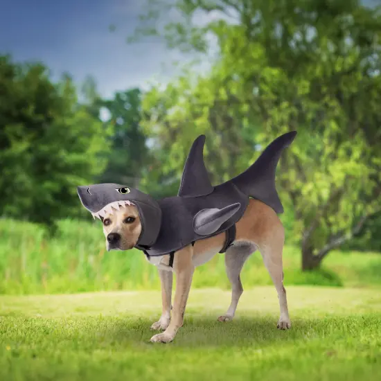 The Great White Bark Dog Costume {4}