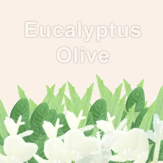 24" Spring Wreaths for Front Door, {4}