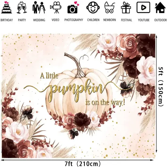 Fall Pumpkin Backdrop for Girl Boho Baby Shower Party Decorations {4}