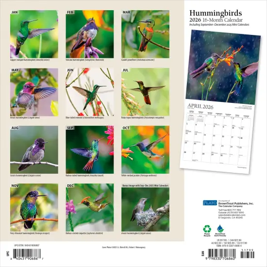 Hummingbirds | 2026 12 x 24 Inch (Hanging) Monthly Square Wall Calendar | Foil Stamped Cover {2}