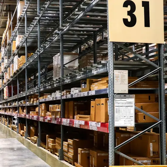 Plastic Sleeves for Documents {3}