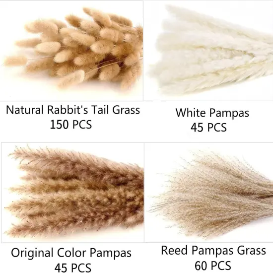 300PCS Dried Flower Bouquet &ndash; Pampas Grass & Mixed Stems for Boho Home & Wedding Decor {4}