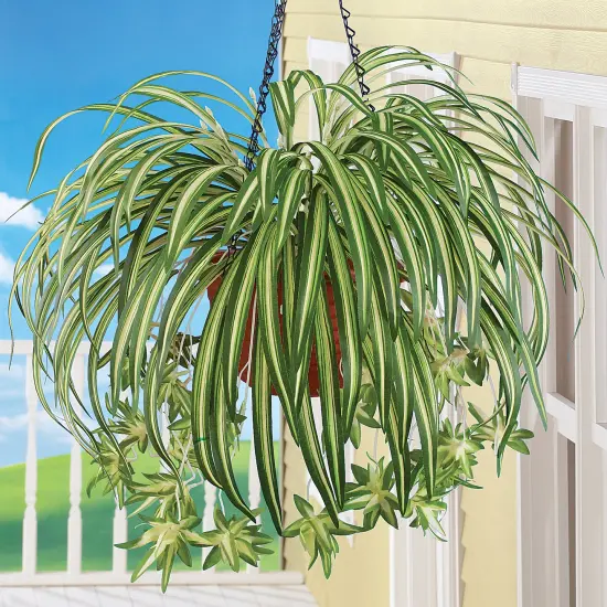 Collections Etc Realistic-Looking Hanging Spider Plant Bushes - Set of 3 {2}