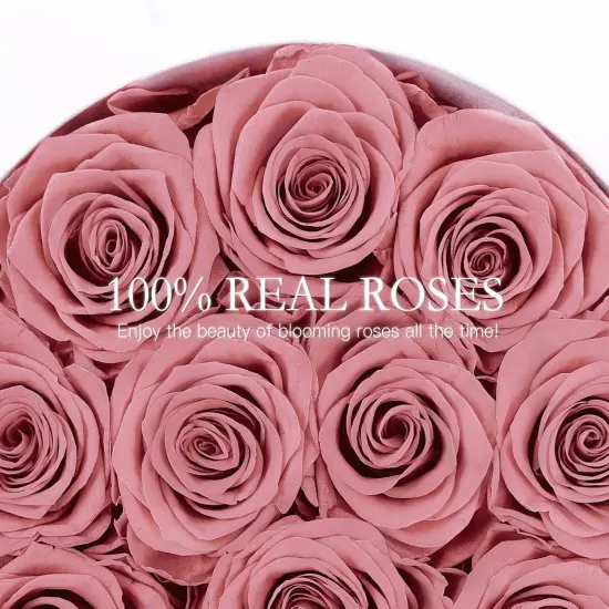 12 Preserved Roses in Box Forever Flowers {2}