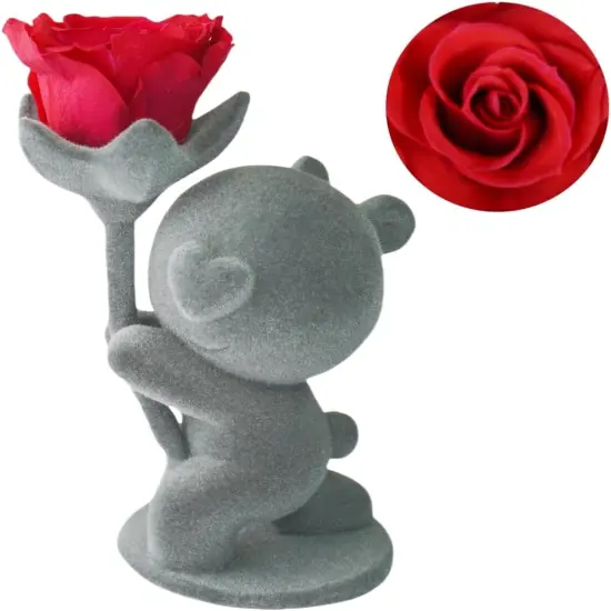 Birthday Gifts for Women Friendship Preserved Roses Gifts {1}
