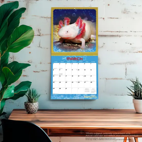 Adorable Axolotl | 2026 12 x 24 Inch (Hanging) Monthly Square Wall Calendar | Plastic-Free {5}