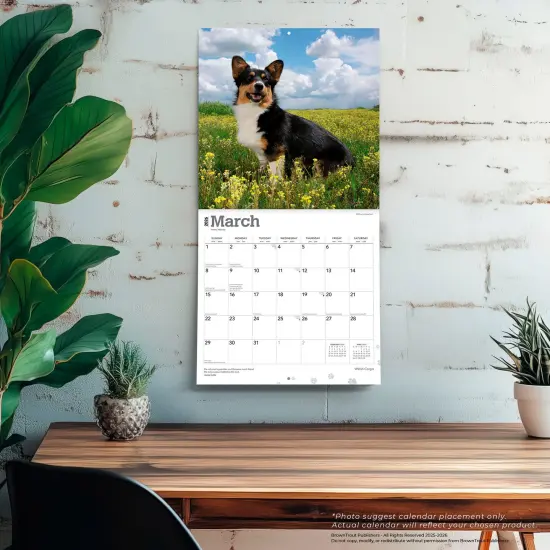 Welsh Corgis | 2026 12 x 24 Inch (Hanging) Monthly Square Wall Calendar | Plastic-Free {5}