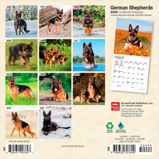 German Shepherds | 2026 7 x 14 Inch (Hanging) Monthly Mini Wall Calendar {2}