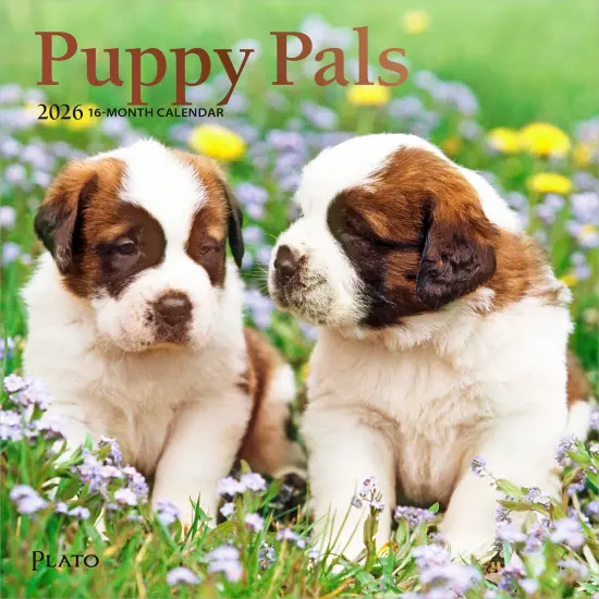 Puppy Pals | 2026 7 x 14 Inch (Hanging) Monthly Mini Wall Calendar | Foil Stamped Cover {1}