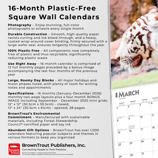 White Tigers | 2026 12 x 24 Inch (Hanging) Monthly Square Wall Calendar | Plastic-Free {6}