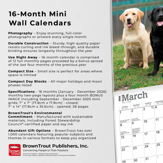Labrador Retrievers | 2026 7 x 14 Inch (Hanging) Monthly Mini Wall Calendar {6}
