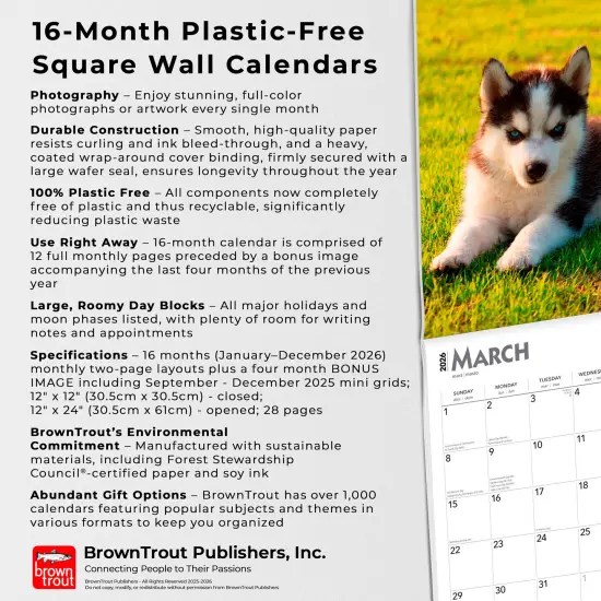 Siberian Husky Puppies | 2026 12 x 24 Inch (Hanging) Monthly Square Wall Calendar | Plastic-Free {6}