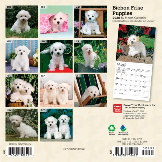 Bichon Frise Puppies | 2026 7 x 14 Inch (Hanging) Monthly Mini Wall Calendar {2}