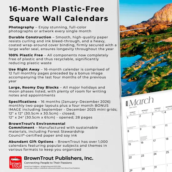 Oregon Coast | 2026 12 x 24 Inch (Hanging) Monthly Square Wall Calendar | Plastic-Free {6}